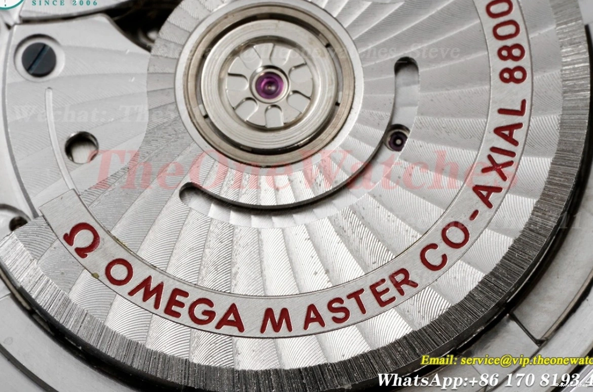 8800 Asia 300m SS 2018 Seamaster ORF Black SS 0113